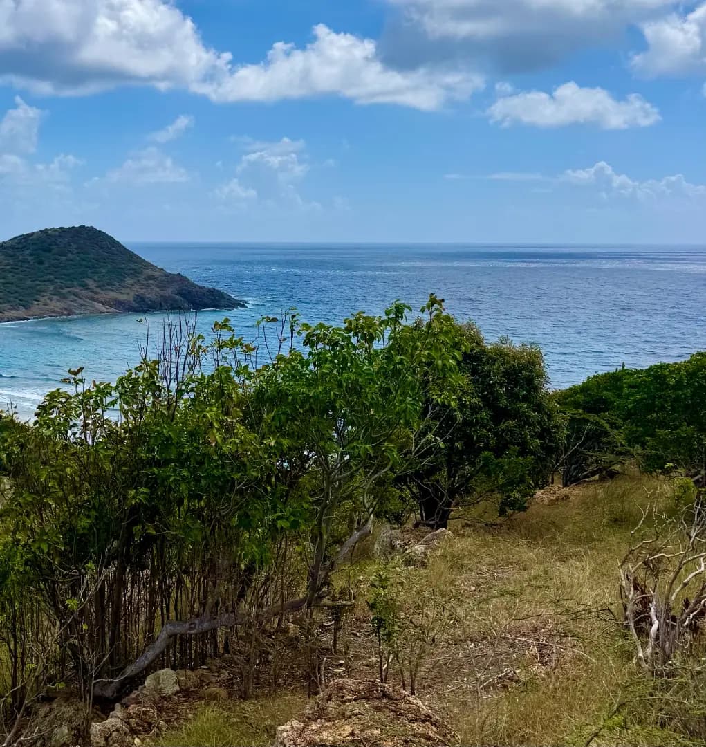 Tres beau terrain constructible Lot 3 – Toiny – Vue mer