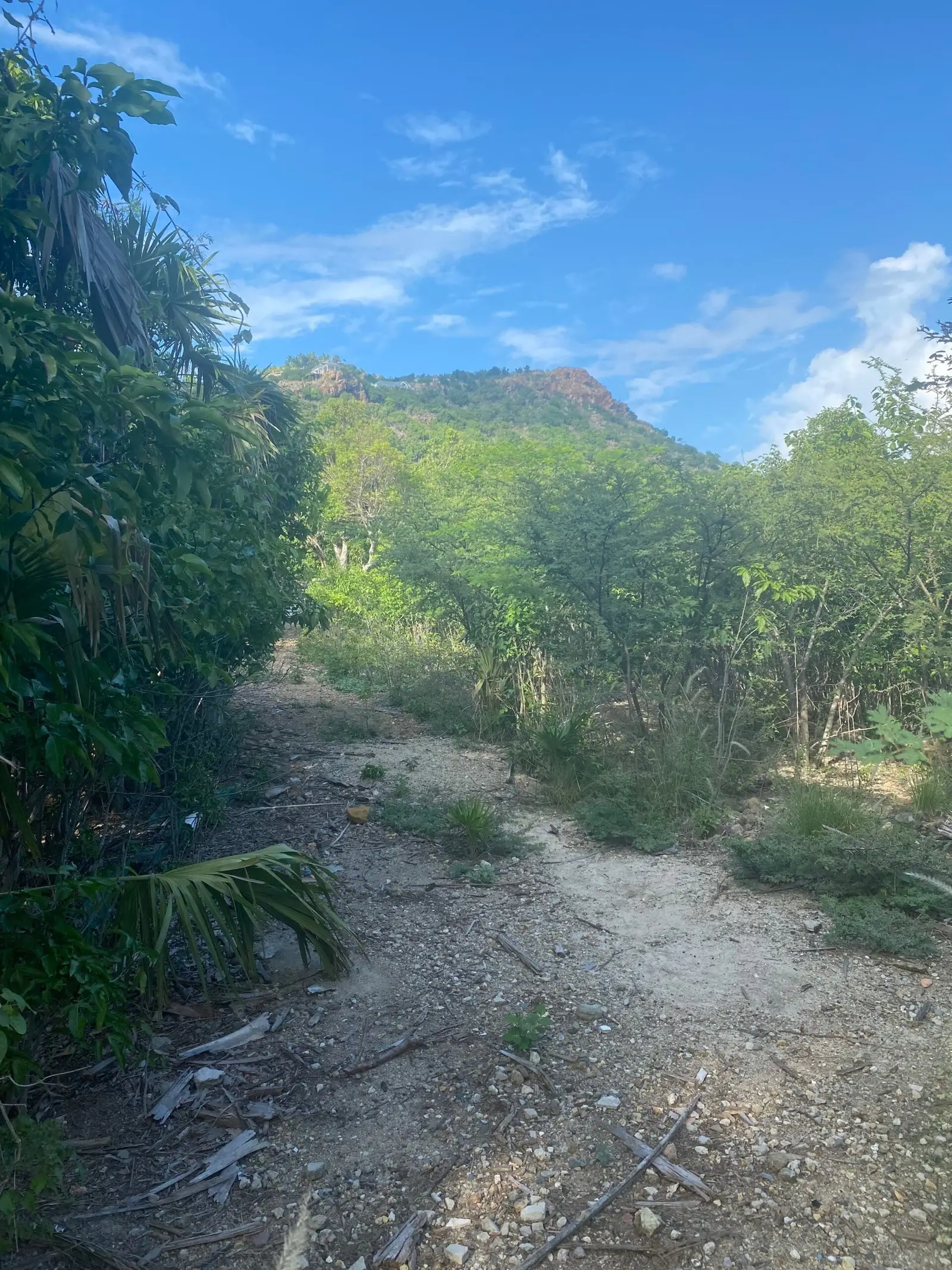 Exclusivité : grand terrain à saline