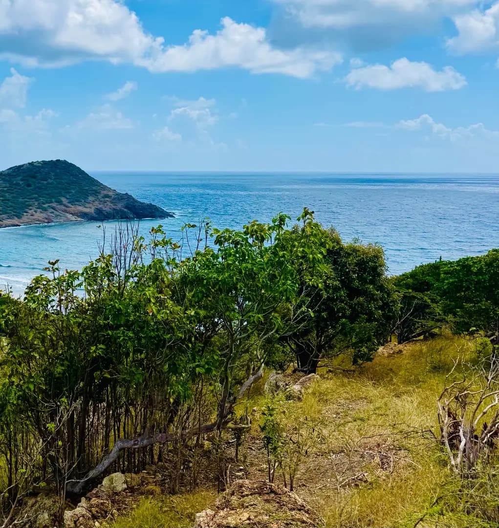 Beau terrain constructible Lot 2 – Toiny – Vue mer - Photo 1