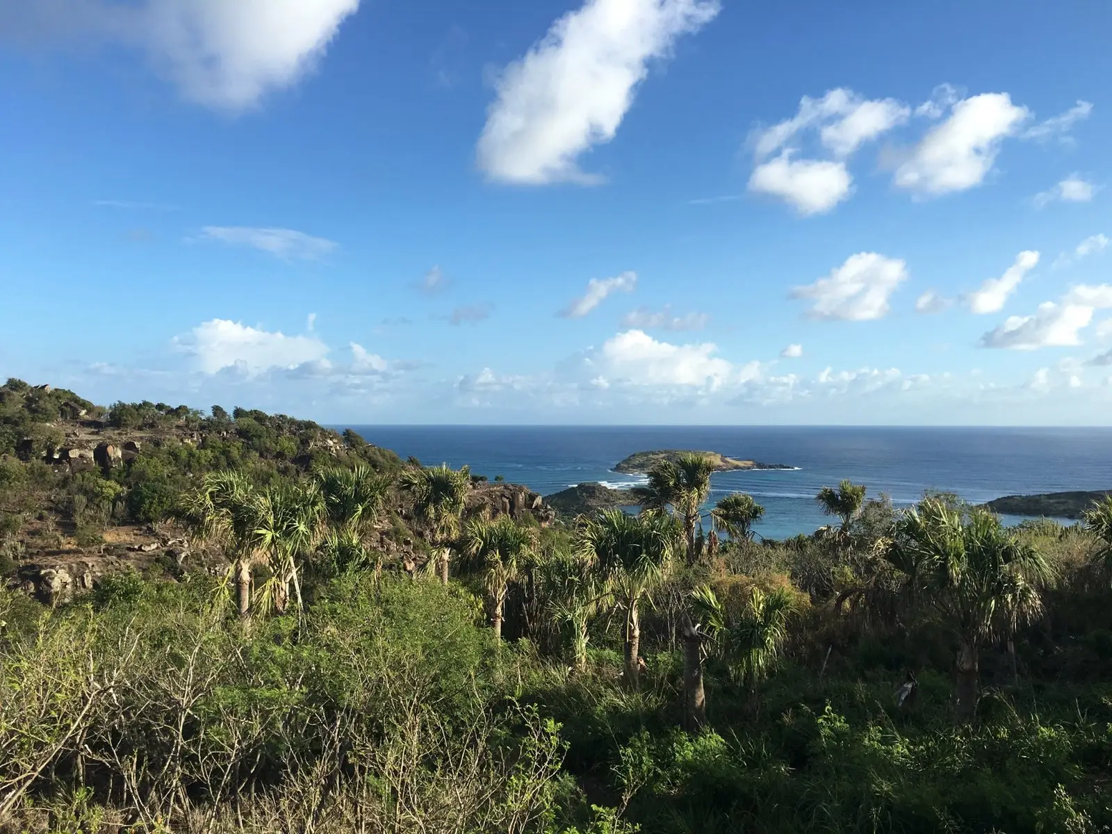 Terrain constructible 665m2