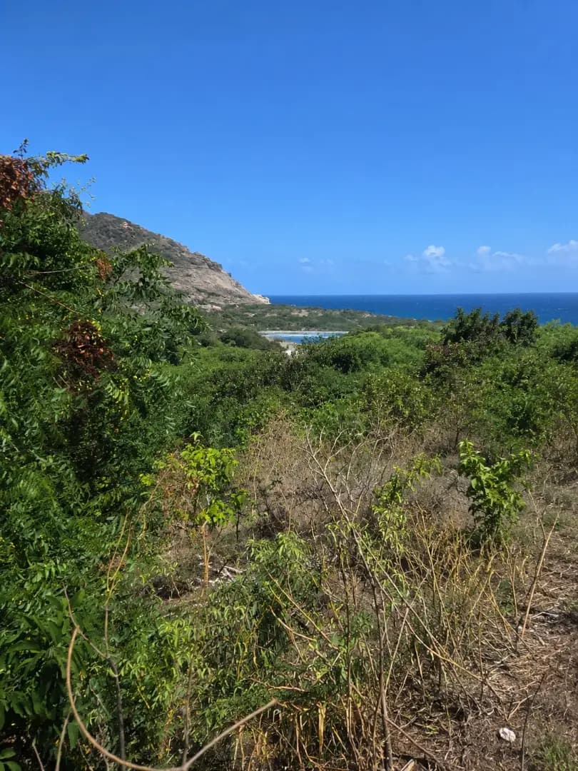 Exclusivité - Beau terrain constructible – Grande Saline