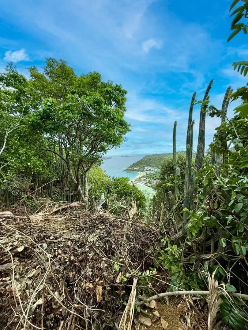 Exclusivité - Terrain constructible avec très belle vue mer - Colombier