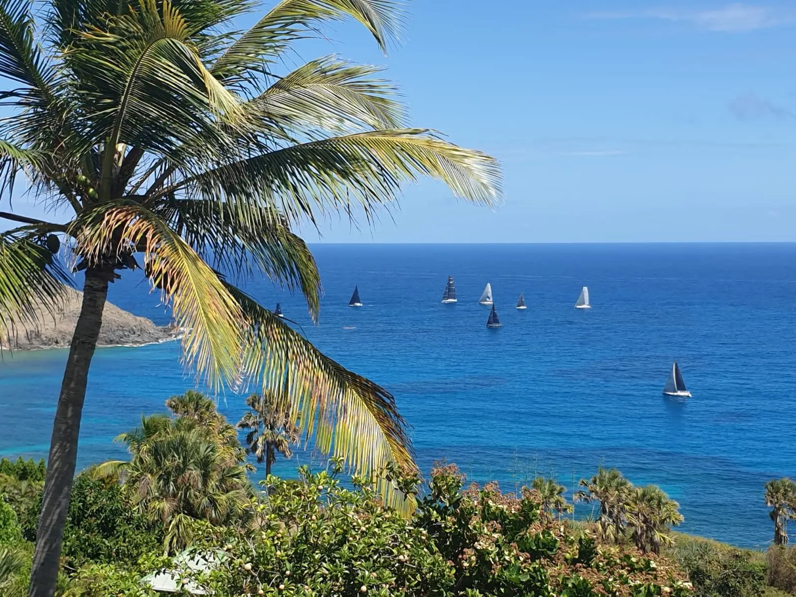 Exclusivité - Terrain constructible - avec très belle vue mer - Toiny - Photo 1